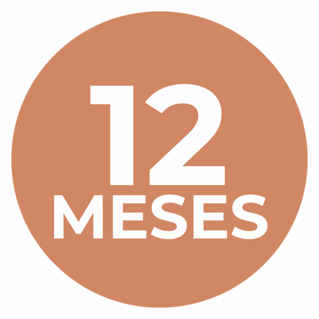 Logo circular escrito "12 meses"