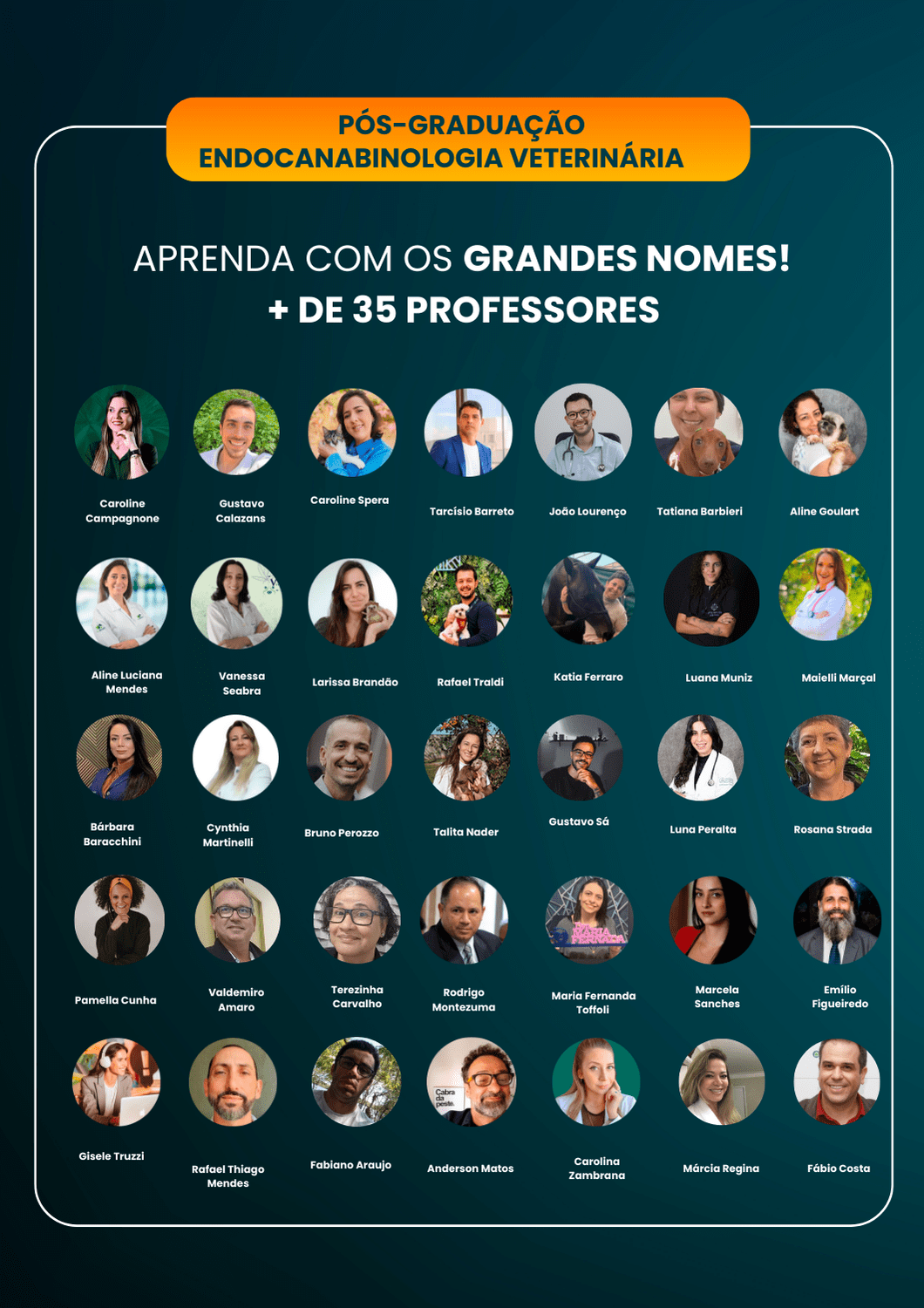 pos-graduacao-endocanabinologia veterinária
