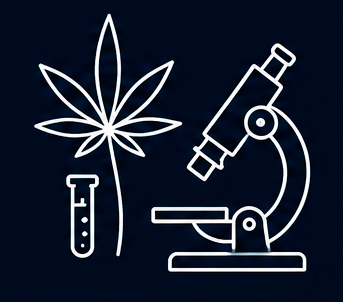 Pós-Graduação em Endocanabinologia