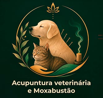 Curso Acupuntura Veterinária