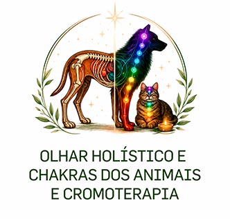 Curso Olhar Holístico, Chakras e Cromoterapia