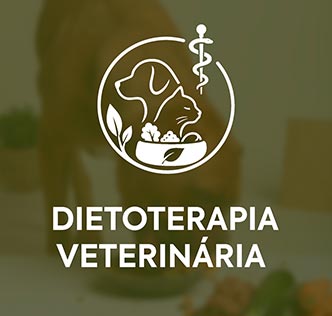 Curso Dietoterapia na Medicina Veterinária