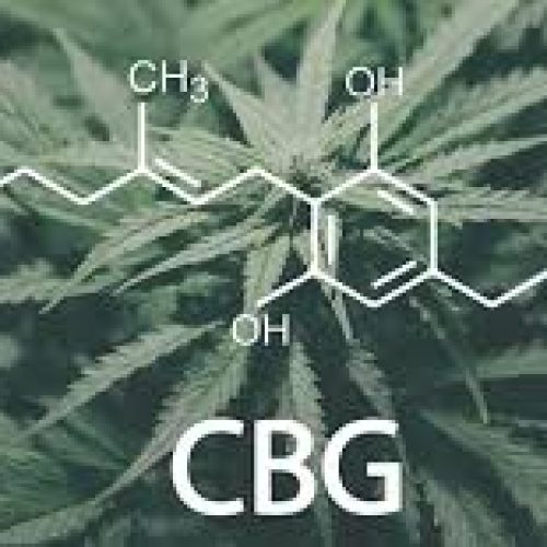 O Que É CBG (Canabigerol)?